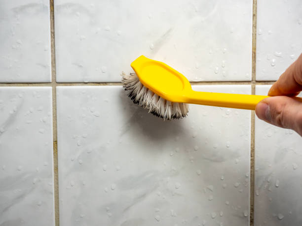 Best Certified Mold Removal  in Avon, PA